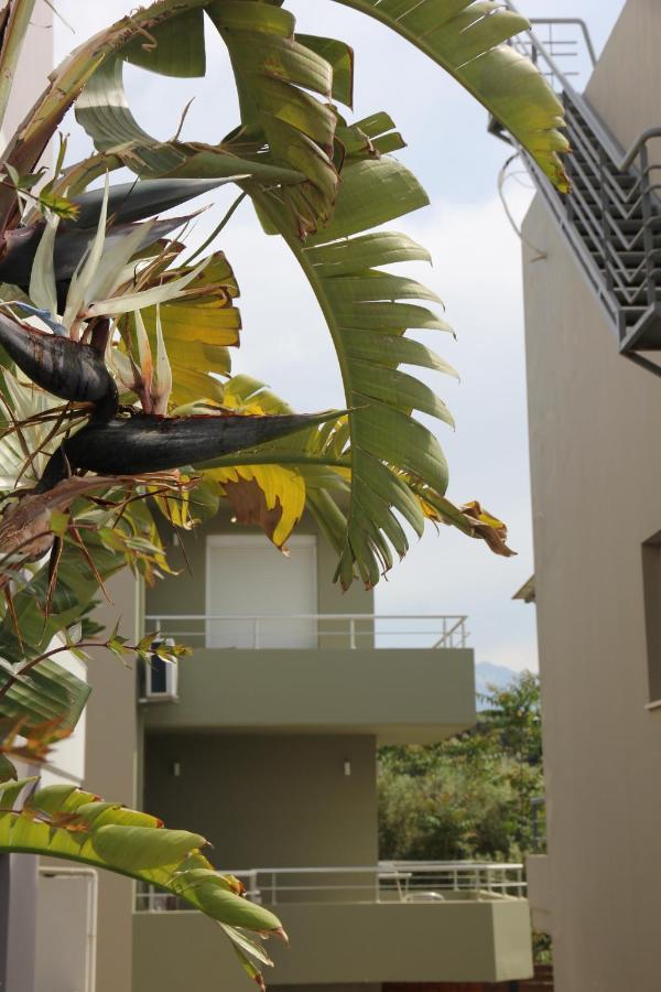 חאניה Kamares Apts - Antonis Cozy Maisonette מראה חיצוני תמונה